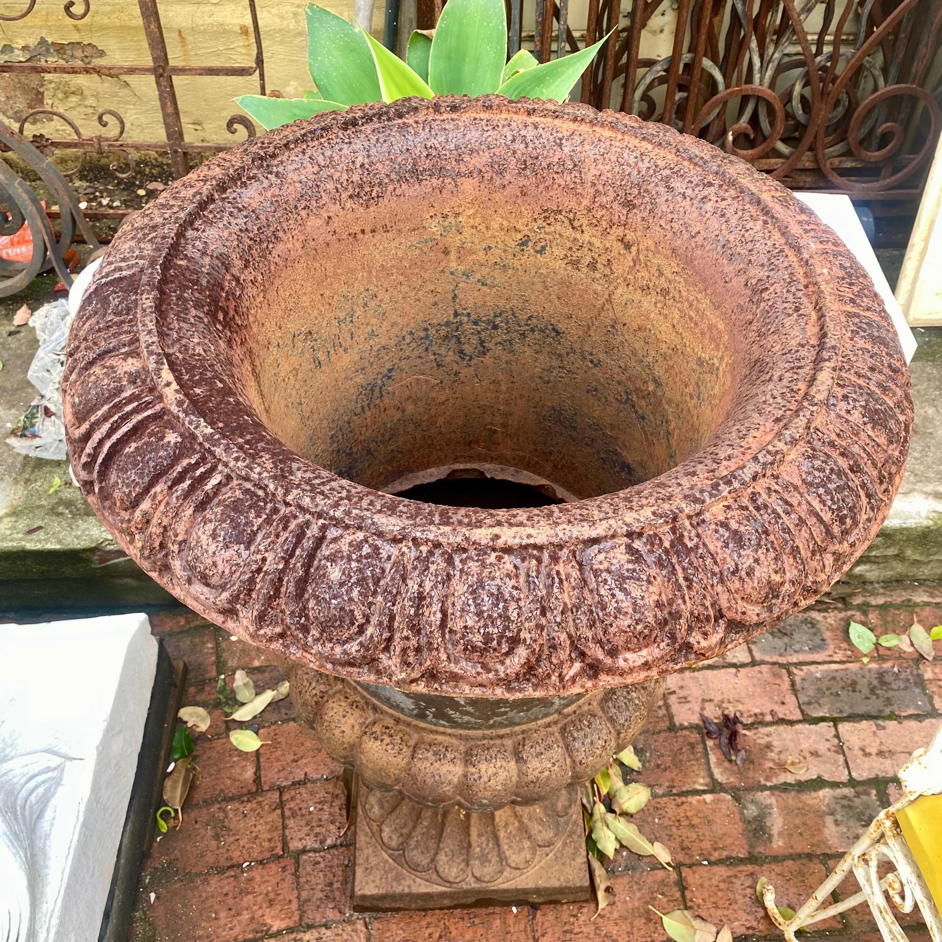 Rustic Cast Iron Urn Single