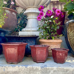 Burgundy Terracotta Planters