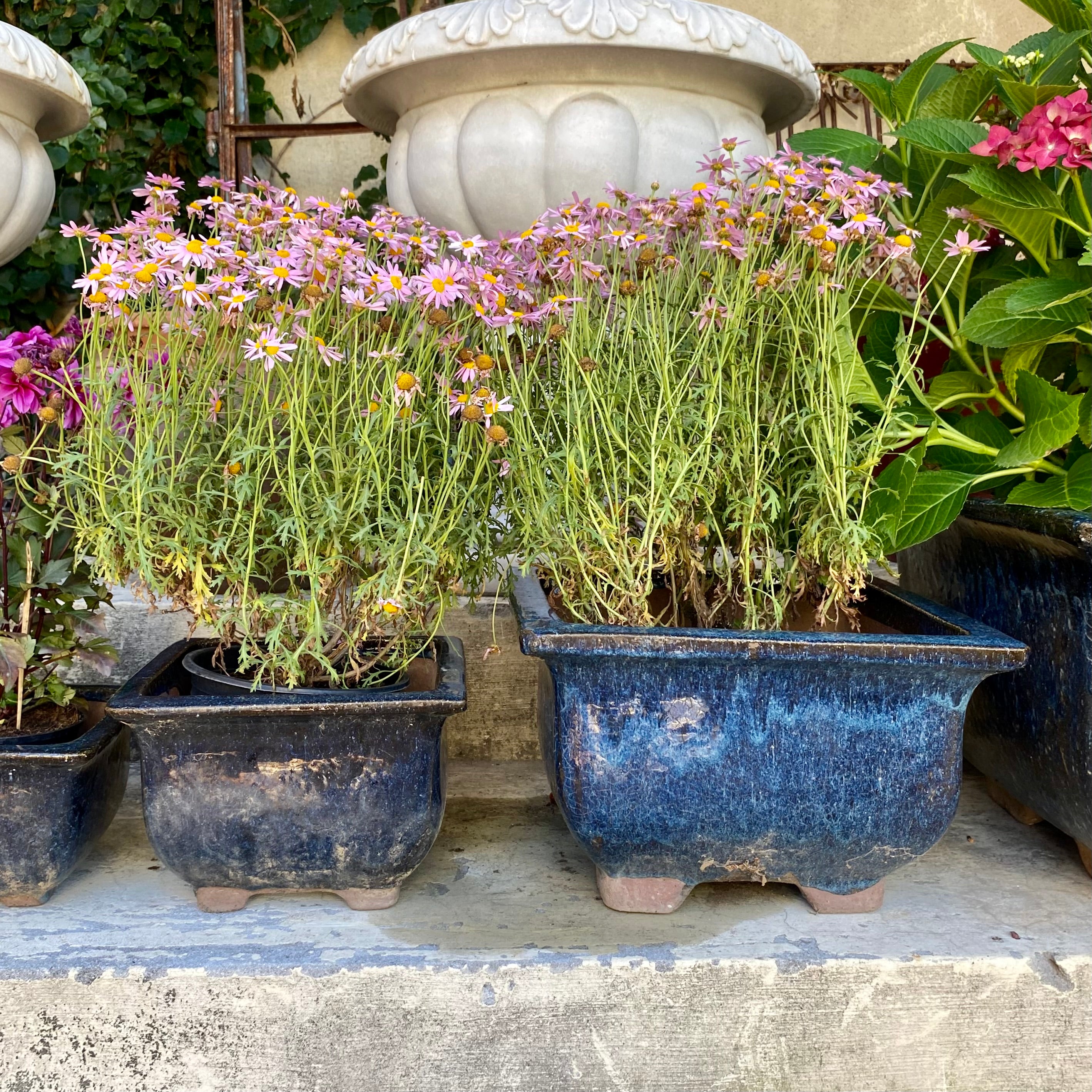 Beautiful Asian Style Terracotta Glazed Planters