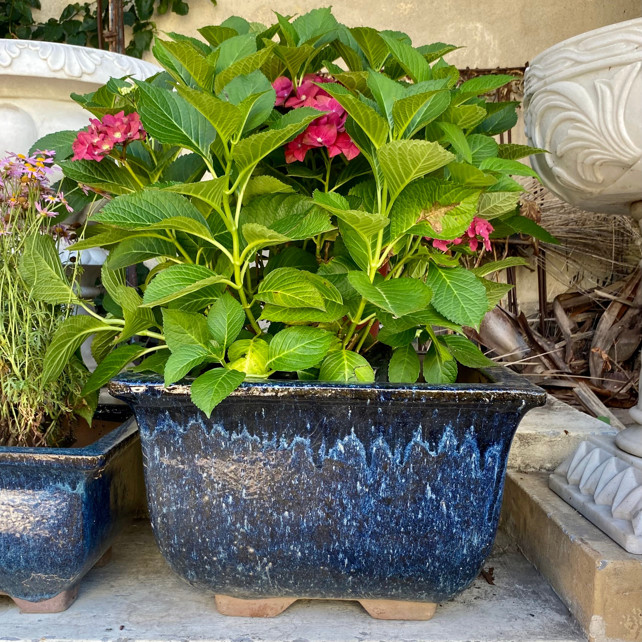 Beautiful Asian Style Terracotta Glazed Planters