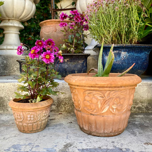 French Style Terracotta Pots