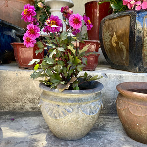 Small Terracotta Garden Pot