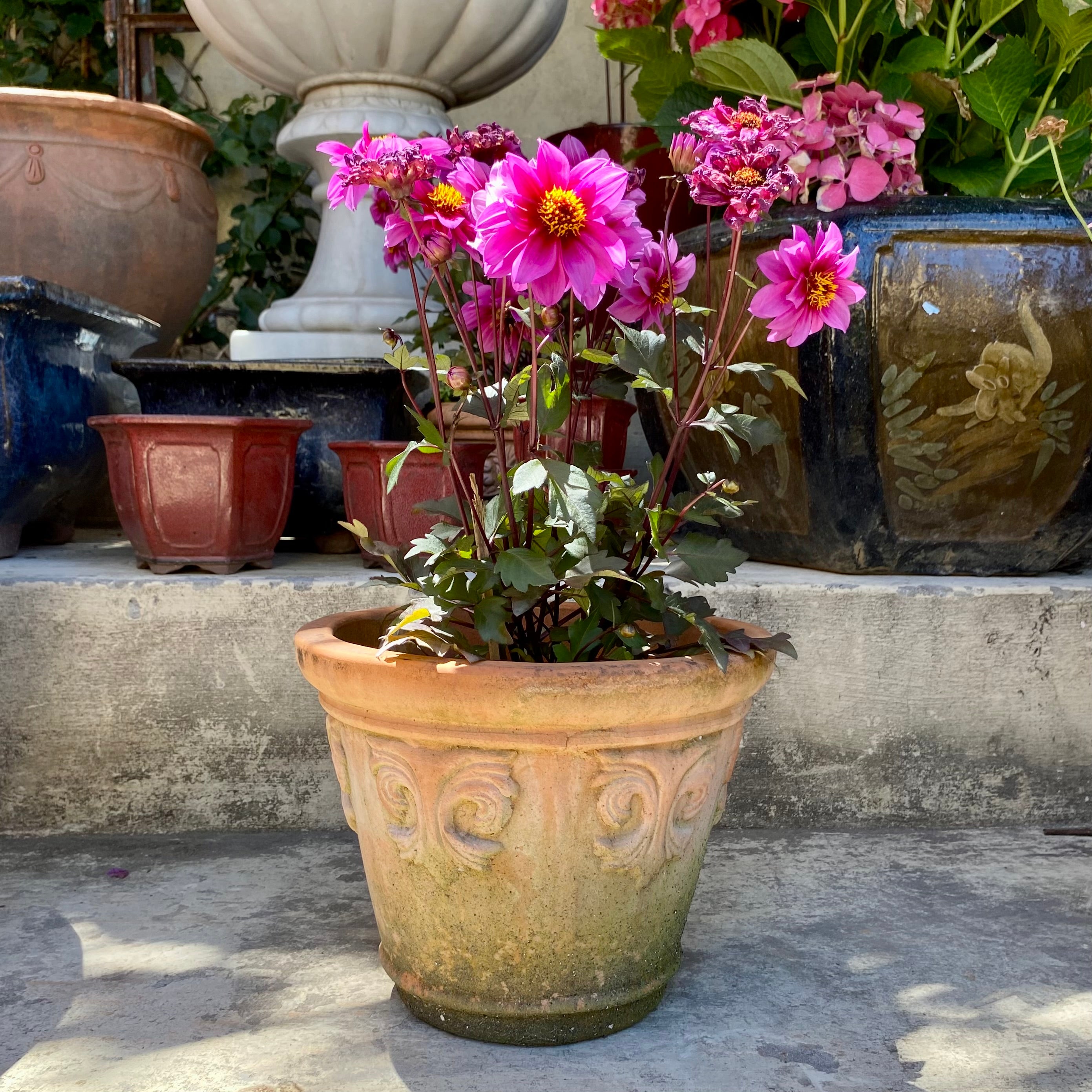 Small Aged Terracotta Pots - SOLD