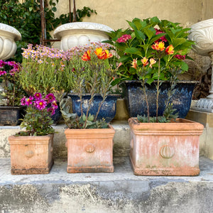 Aged Italian Style Square Terracotta Planters