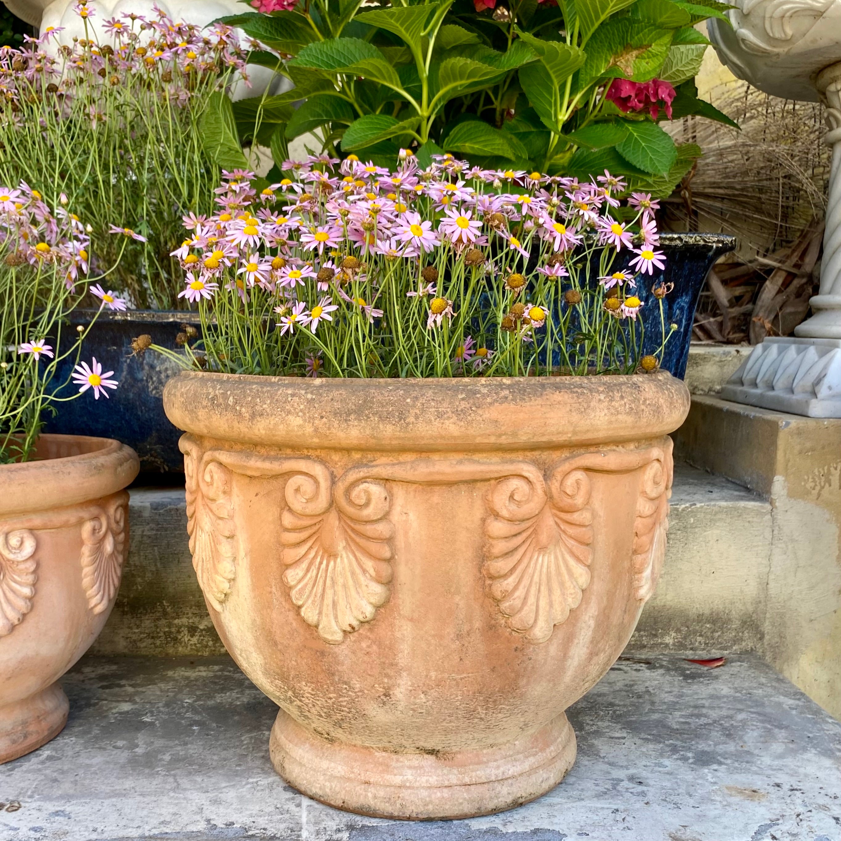 Beautiful Terracotta Pot - SOLD