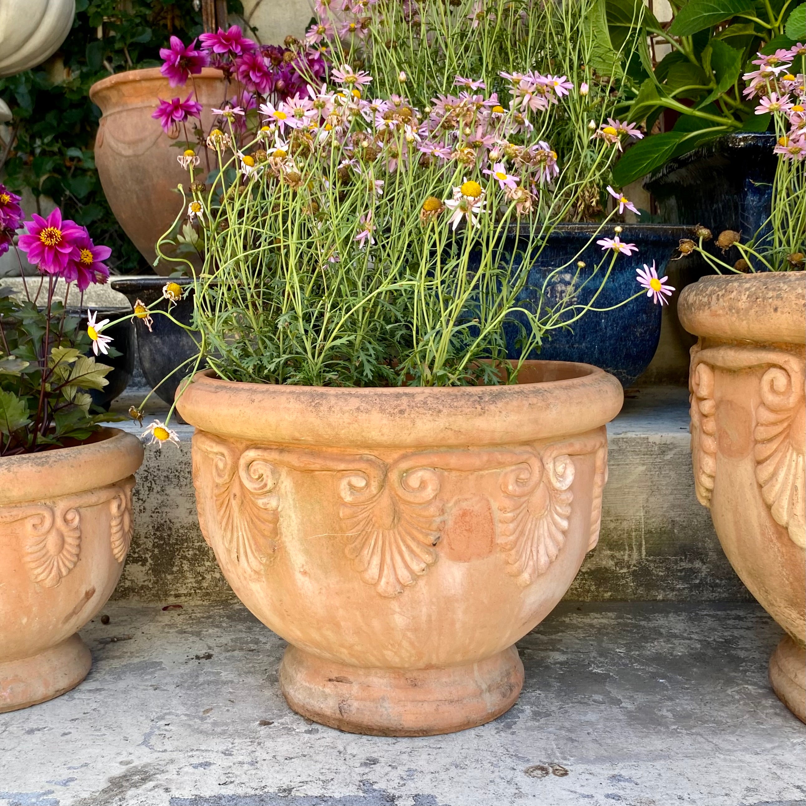 Beautiful Terracotta Pot - SOLD