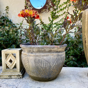 Medium Terracotta Pot with Leafy Print