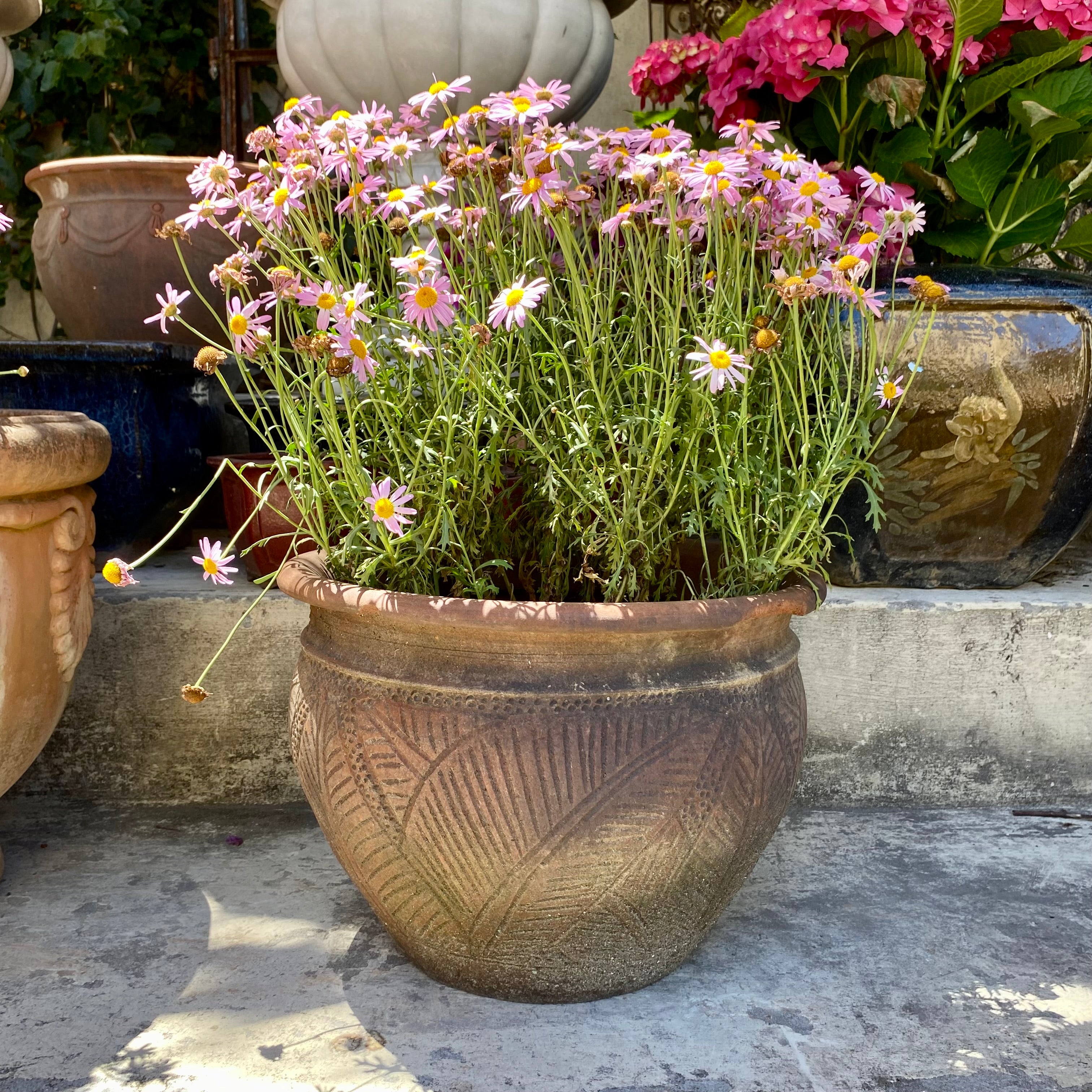 Medium Terracotta Pot with Leafy Print