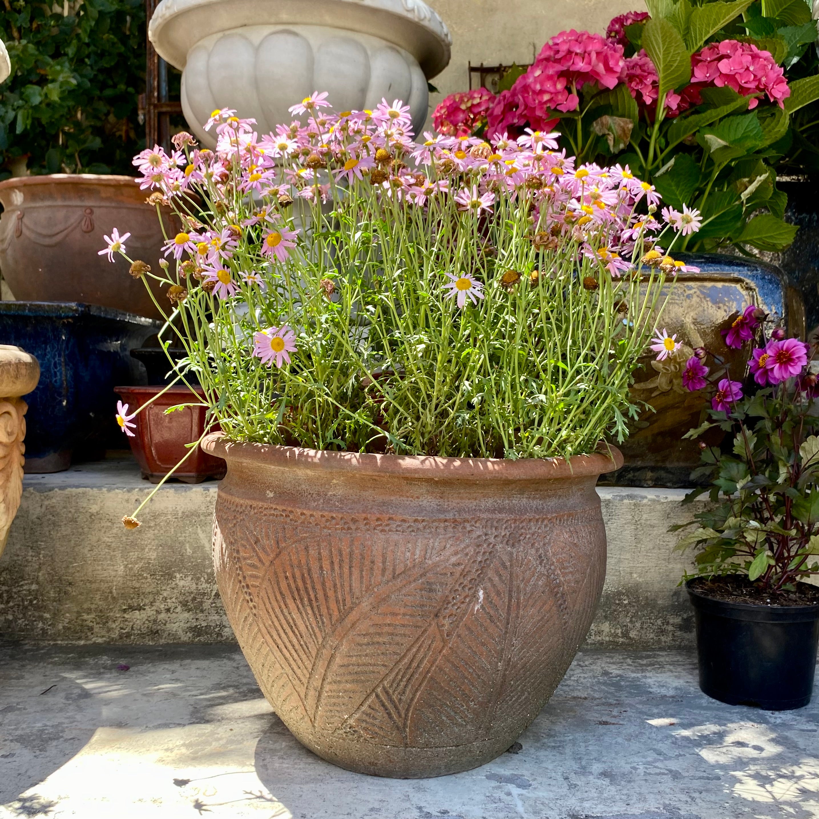 Medium Terracotta Pot with Leafy Print