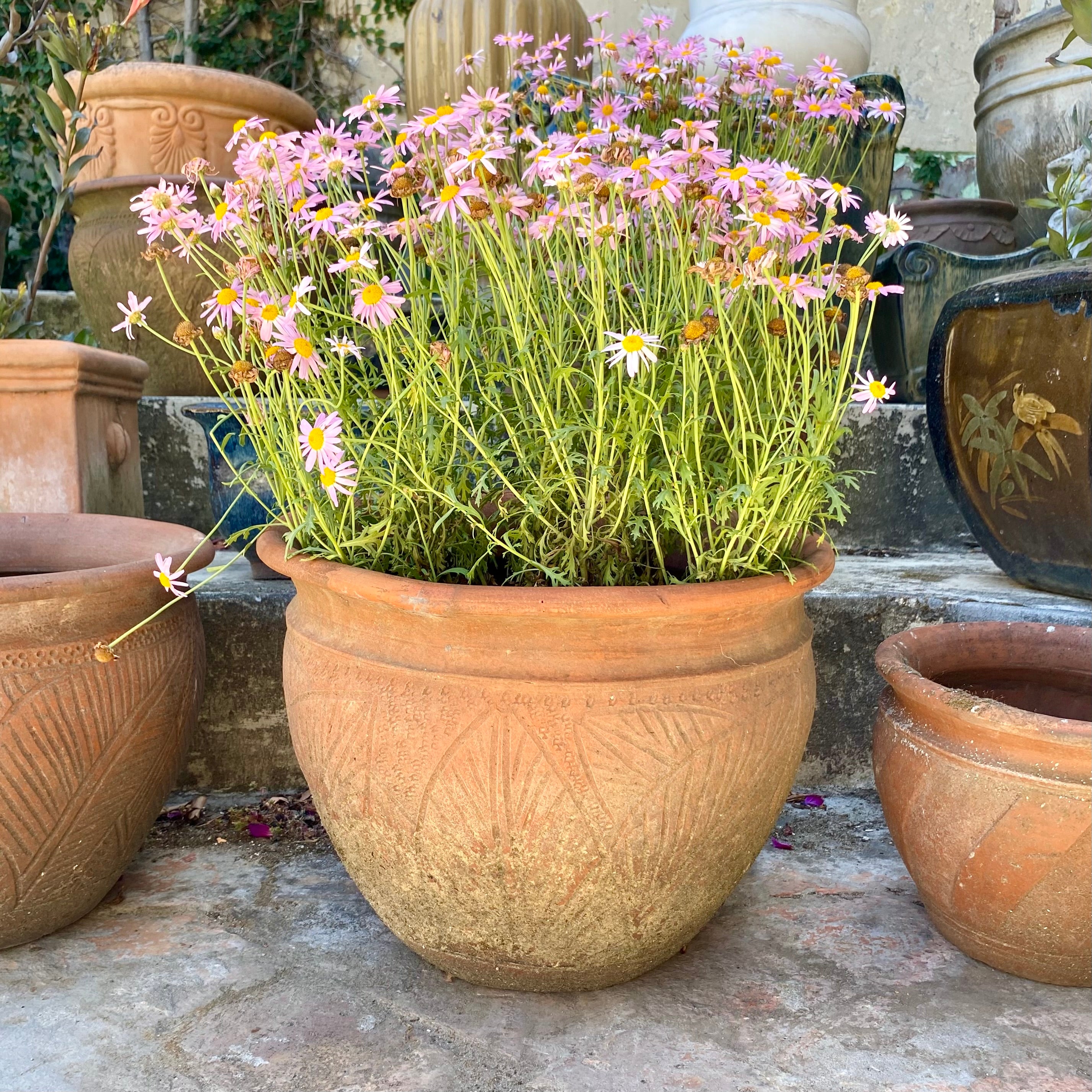 Medium Terracotta Pot with Leafy Print