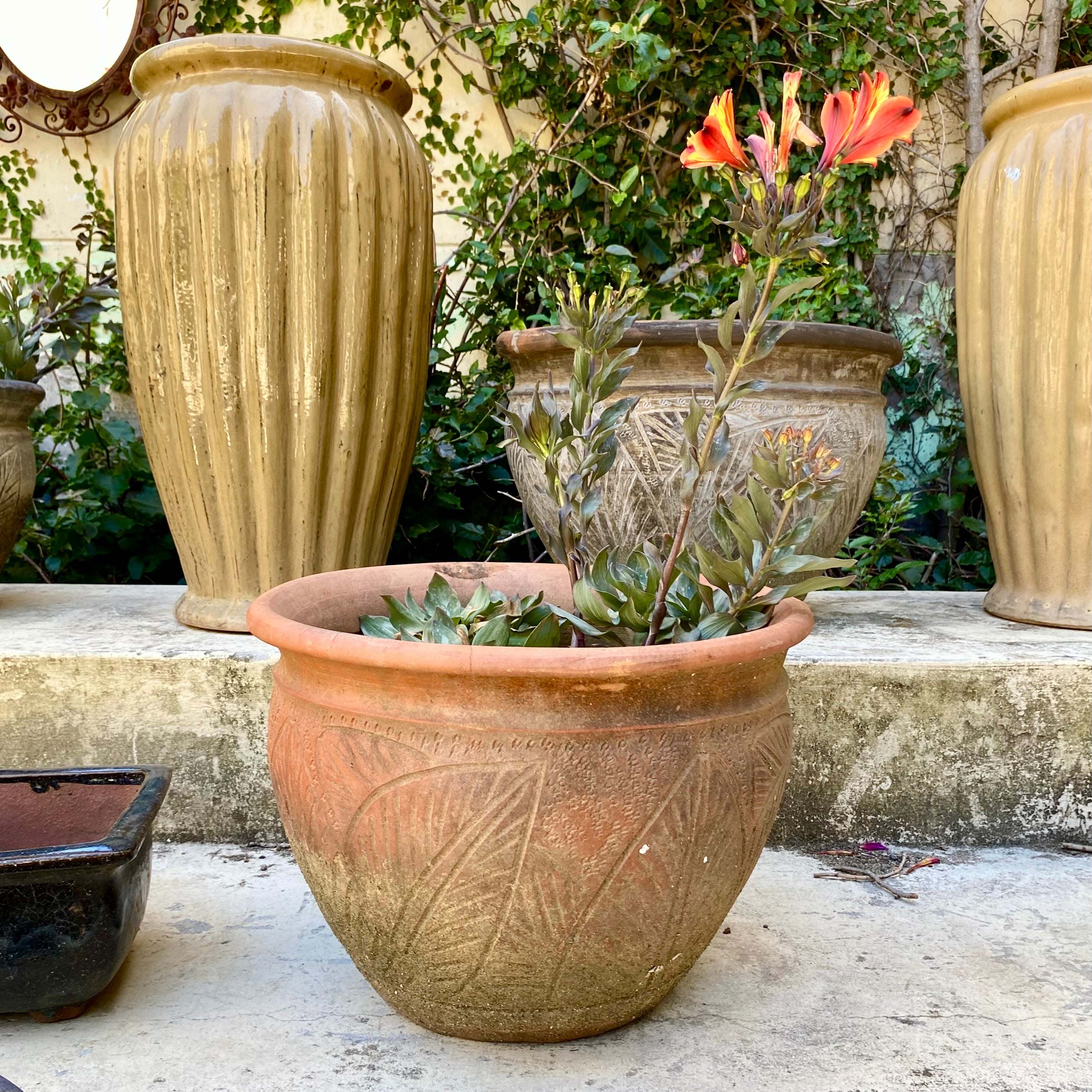 Medium Terracotta Pot with Leafy Print