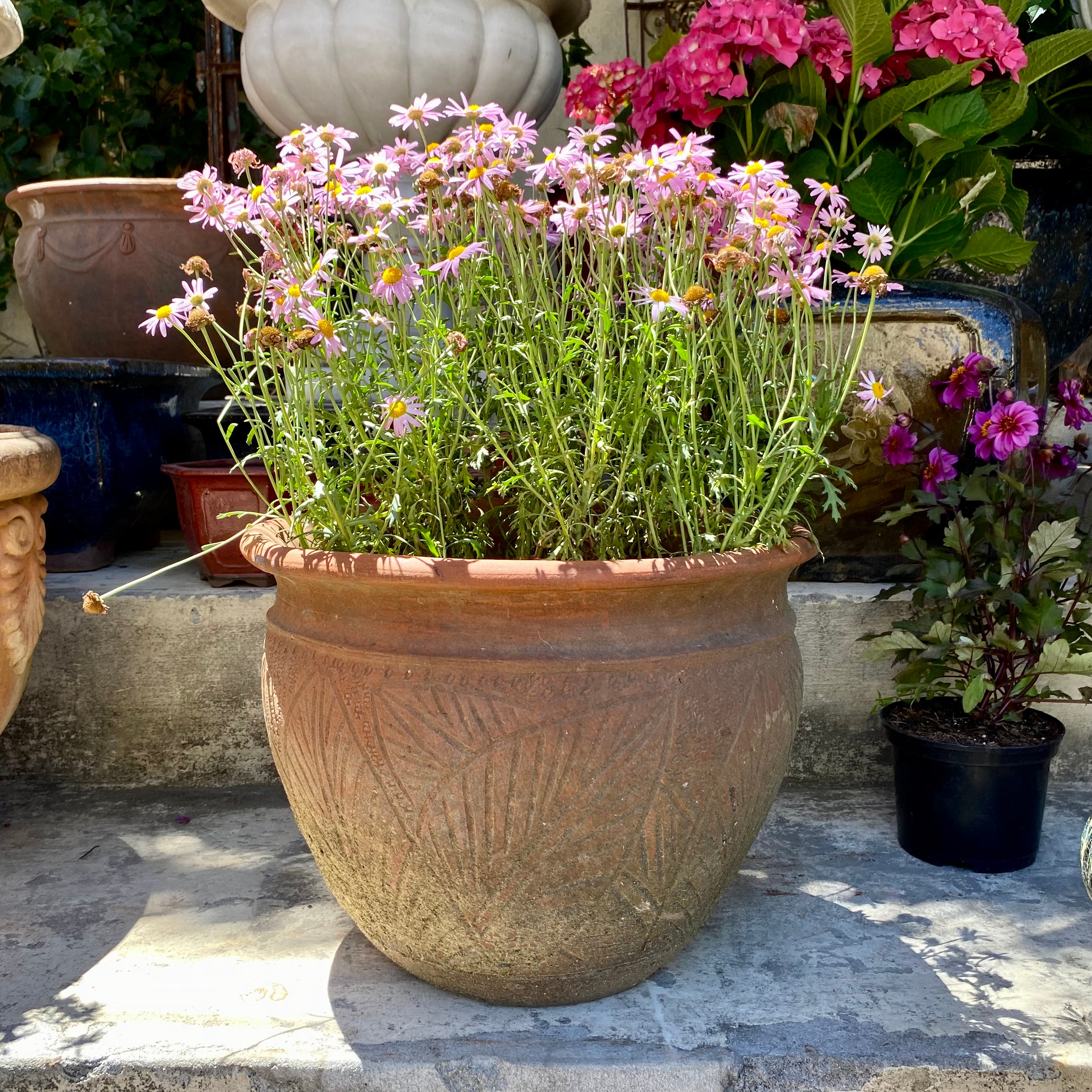 Medium Terracotta Pot with Leafy Print