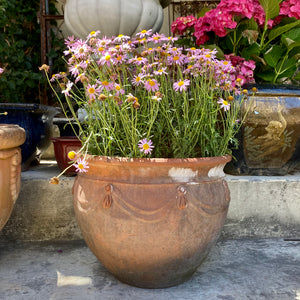 Terracotta Pot with Leaf Detail