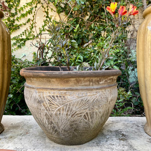 Terracotta Pot with Leaf Detail