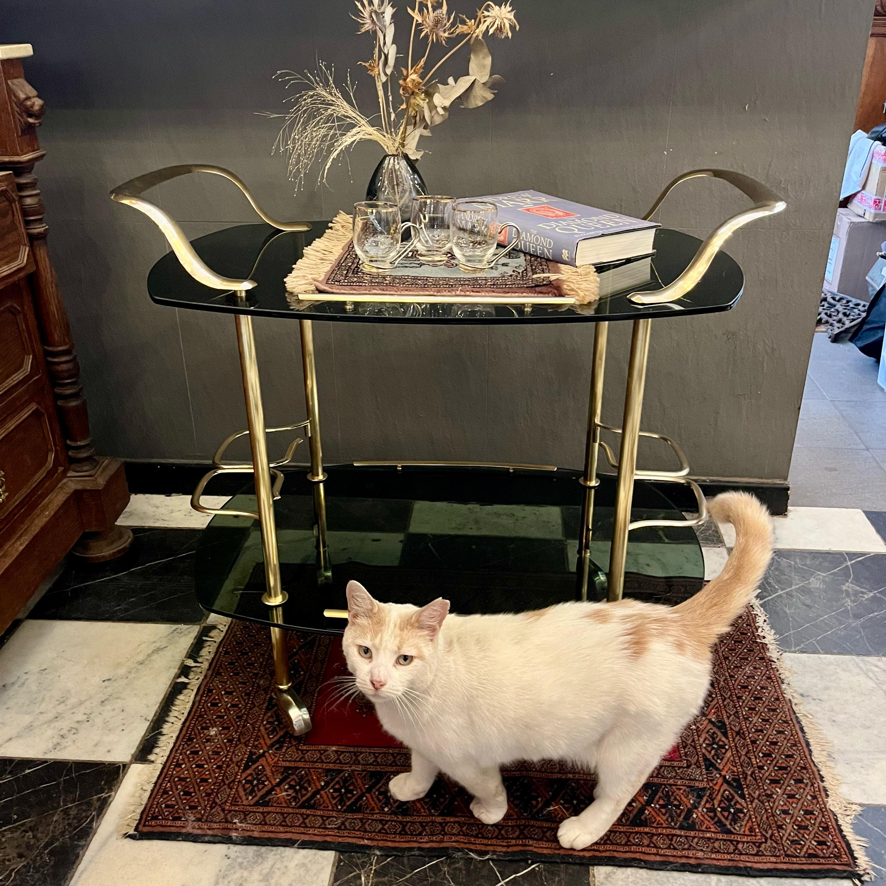 Gorgeous and Glamorous 1970's Smoked Glass and Brass Bar Cart - SOLD