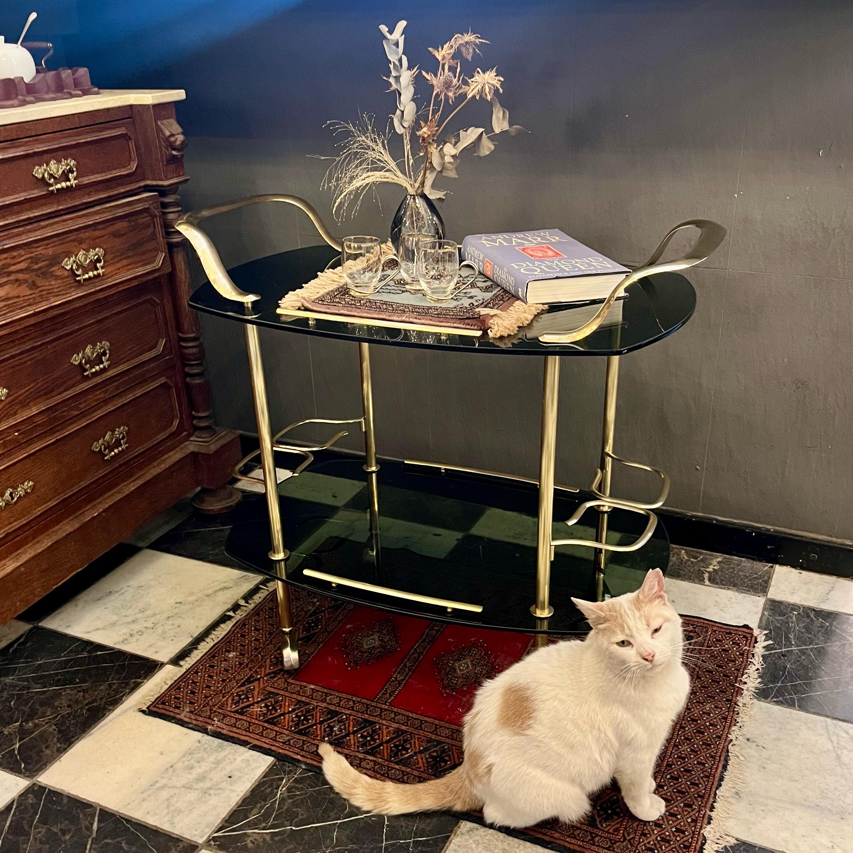 Gorgeous and Glamorous 1970's Smoked Glass and Brass Bar Cart - SOLD