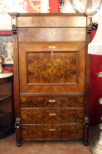 Antique Burr Walnut Secretaire