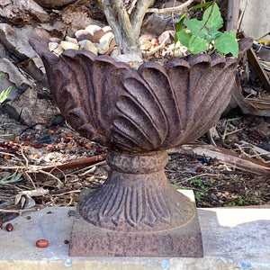 Rustic Cast Iron Cabbage Urn - SOLD