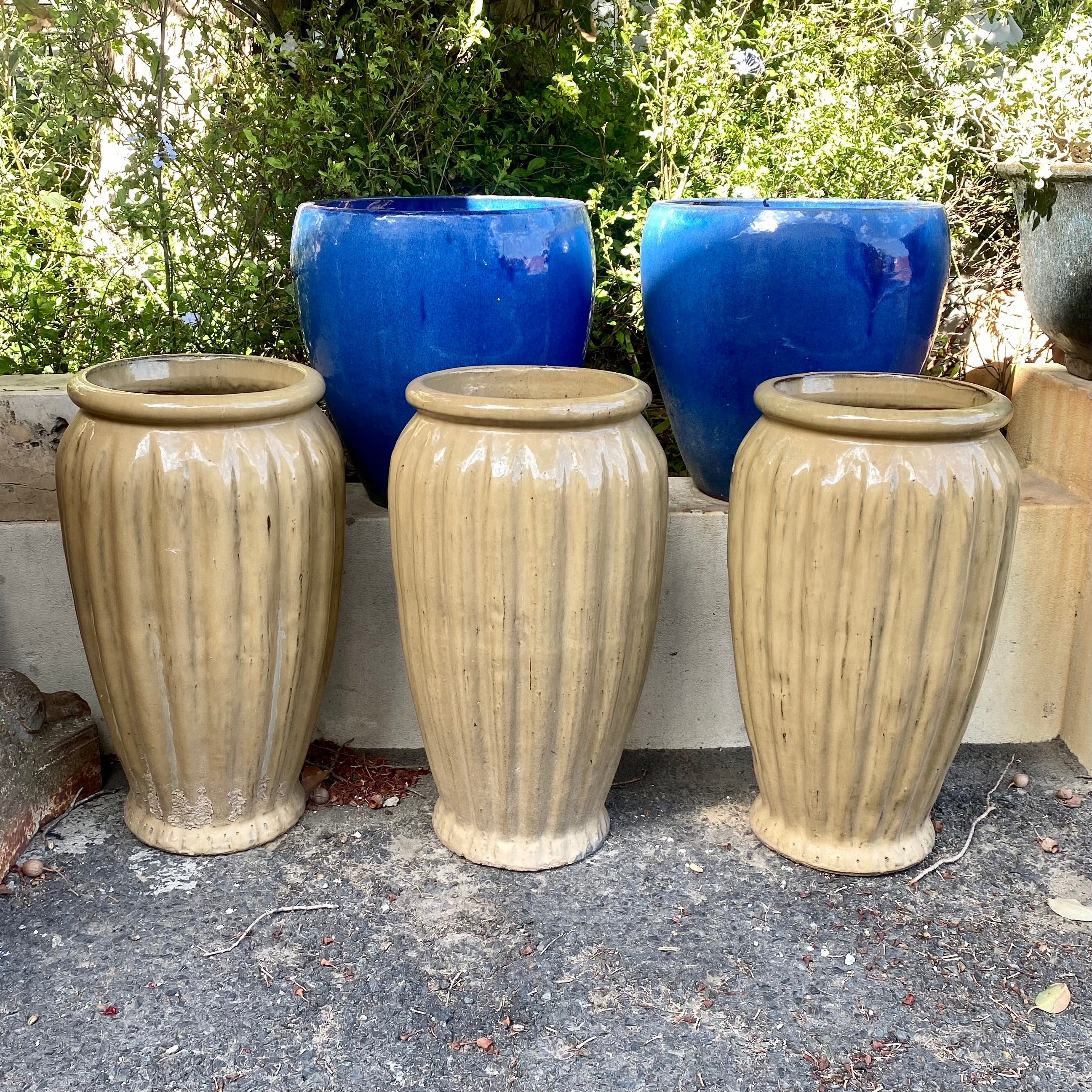 Mustard Terracotta Pots