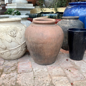 Terracotta Pot