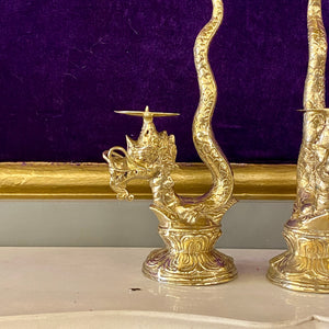 Pair of Polished Brass Dragon Candle Holders