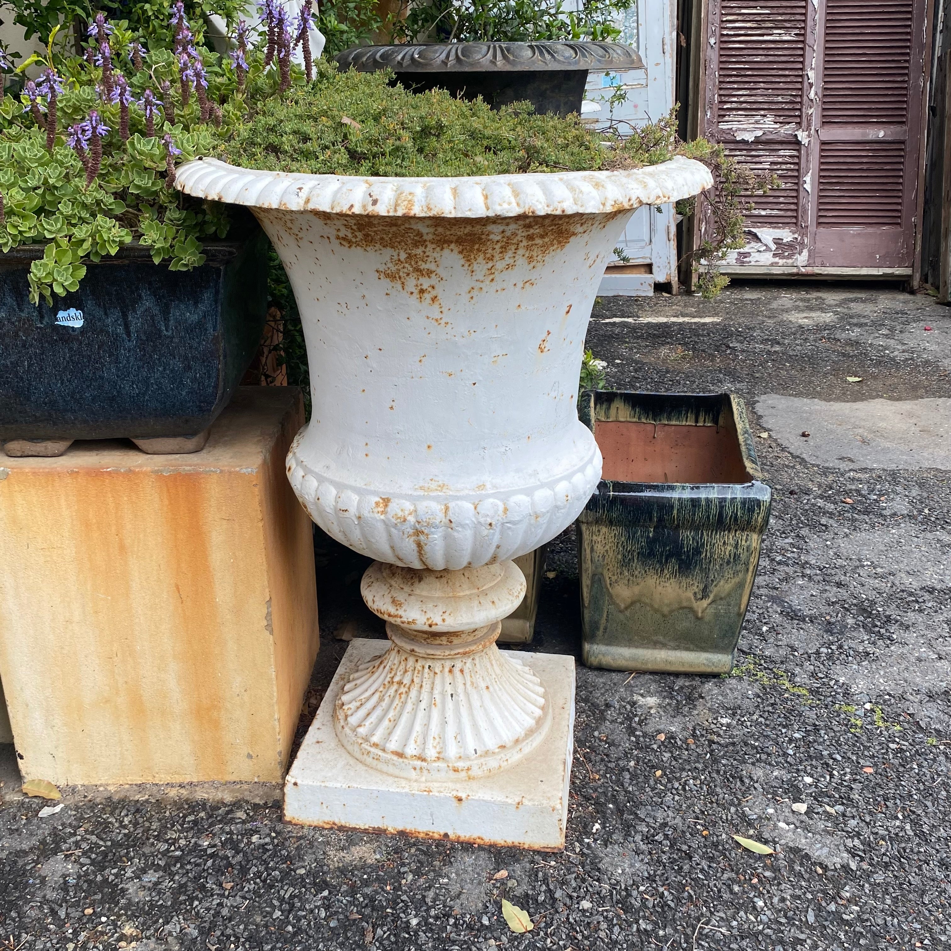 Cast Iron Urn with Deep Belly - SOLD