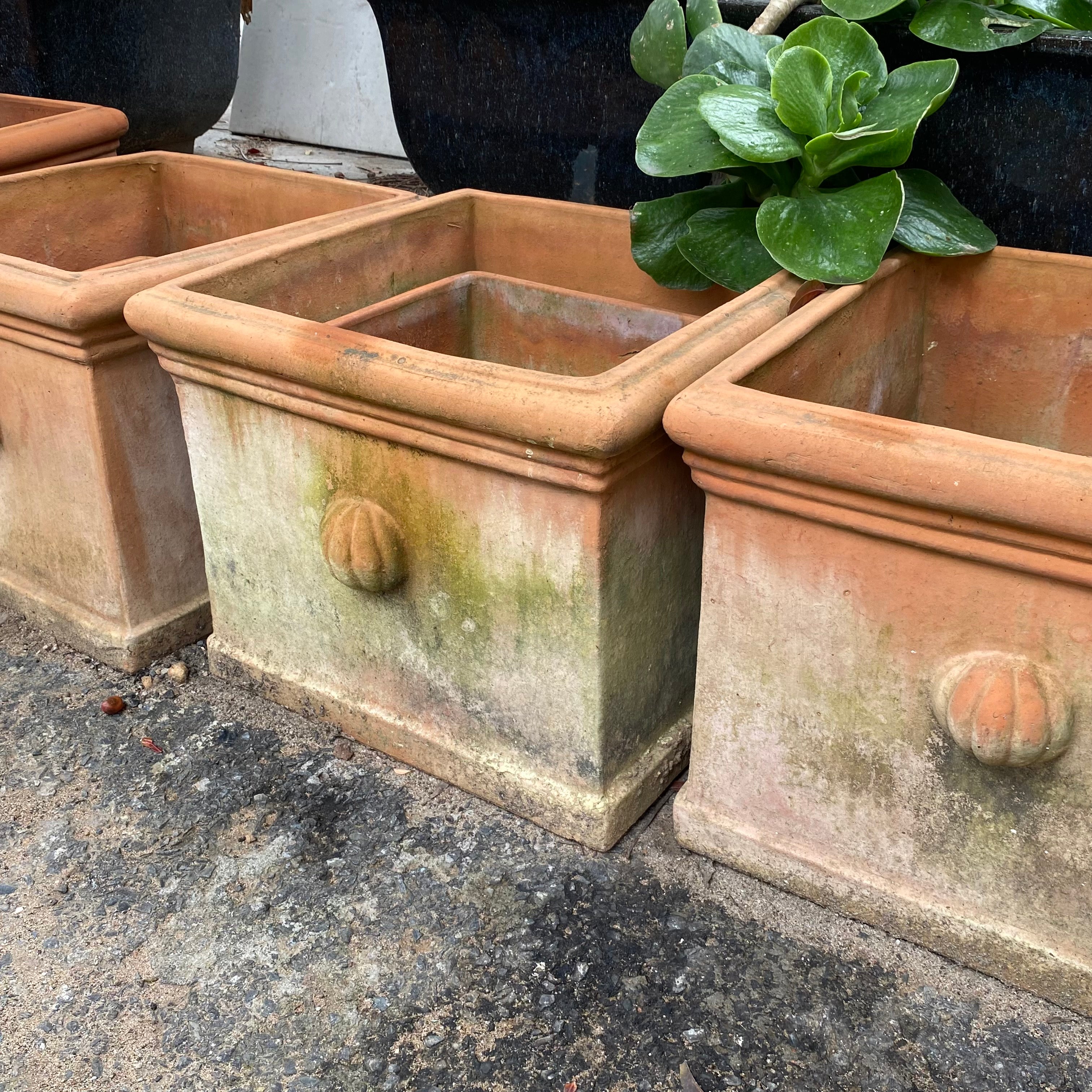 Rustic Square Terracotta Urn - SOLD